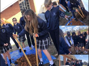 Rain Garden-5